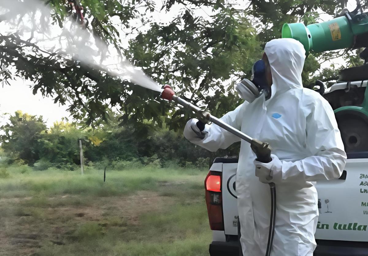 west nile segnalati due casi in pazienti di empoli e prato