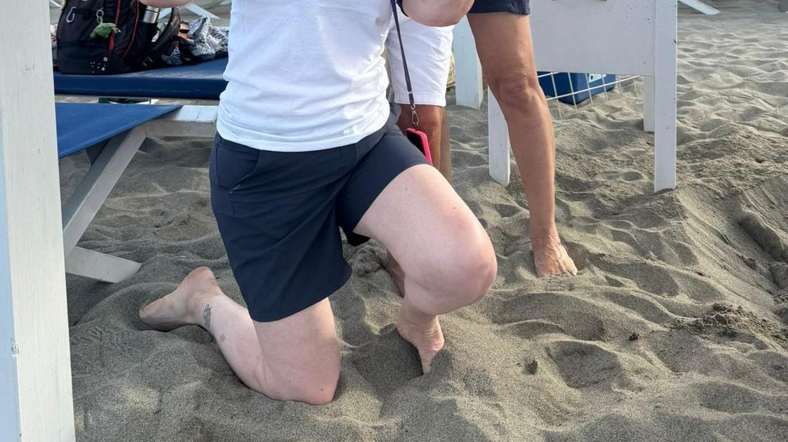 Alle tartarughe piace la nostra spiaggia. Doppio nido al bagno La Romanina Alle tartarughe piace la nostra spiaggia. Doppio nido al bagno La Romanina