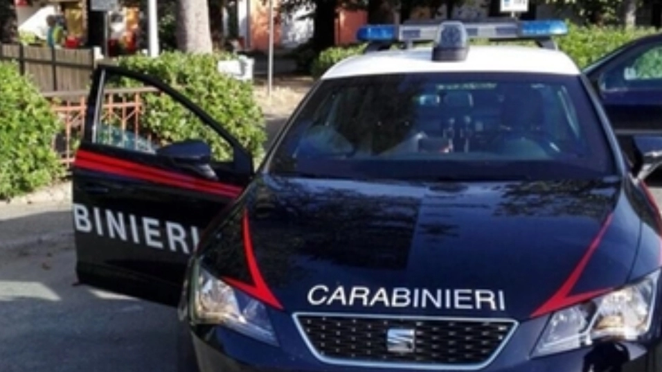 I carabinieri I carabinieri