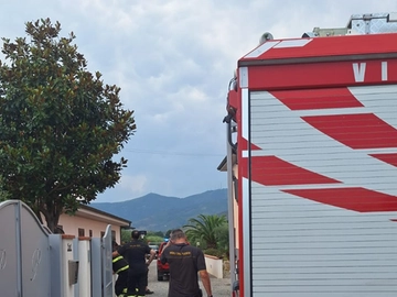 immagine articolo