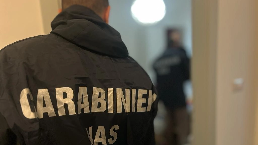 I Carabinieri del Nas hanno condotto le indagini a Navacchio che hanno portato alla denuncia di tre persone