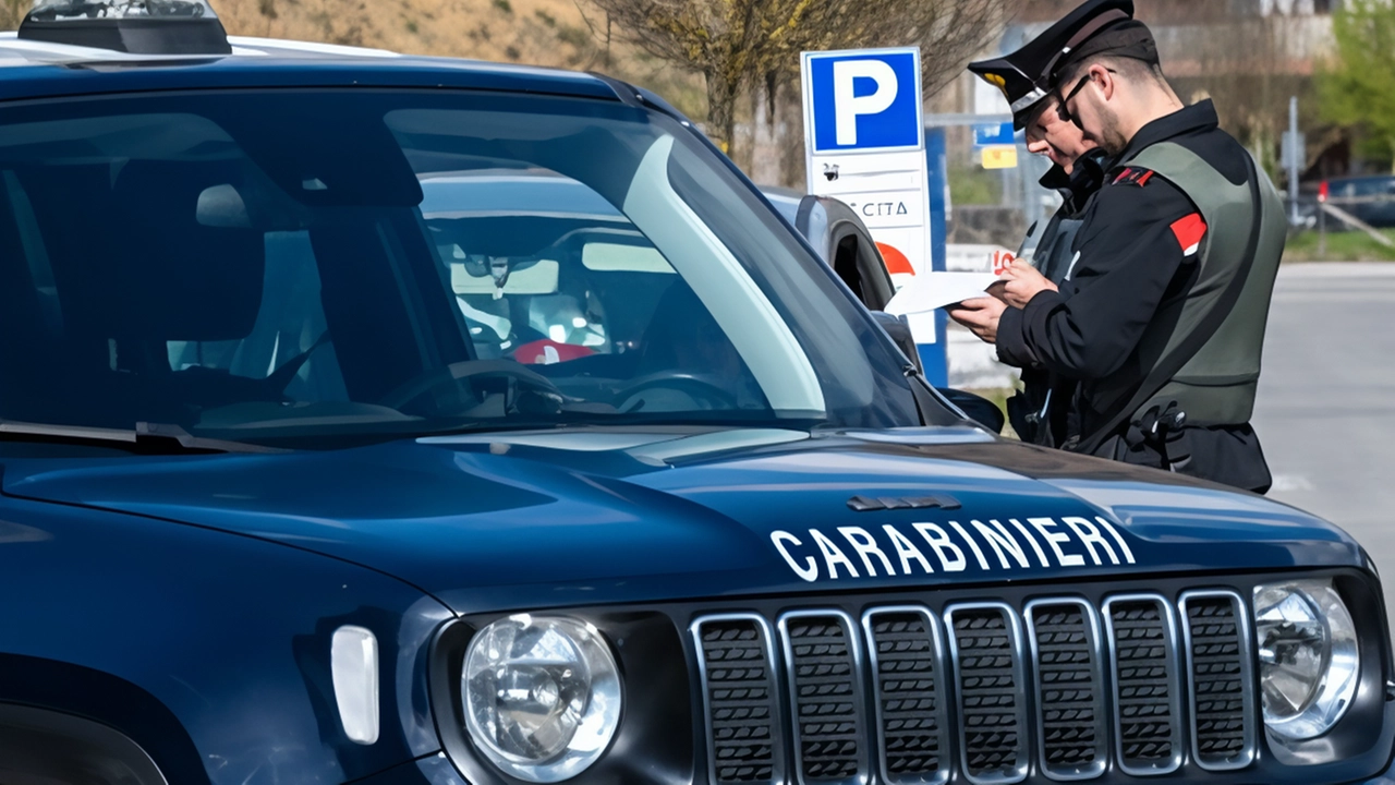 Brillante operazione antidroga dei carabinieri del nucleo radiomobile di Castelnuovo Garfagnana in collaboraziione con i colleghi delle Stazioni Brillante operazione antidroga dei carabinieri del nucleo radiomobile di Castelnuovo Garfagnana in collaboraziione con i colleghi delle Stazioni