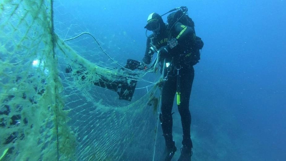 Tutela della biodiversità: ripulita l’area marina protetta dalle attrezzature da pesca perdute Tutela della biodiversità: ripulita l’area marina protetta dalle attrezzature da pesca perdute