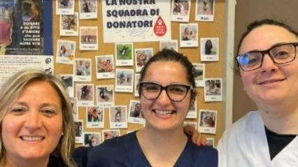 Cani e gatti donatori per l’emergenza sangue negli animali. All’Ospedale Didattico Veterinario dell’Università di Pisa è stata avviata in questi... Cani e gatti donatori per l’emergenza sangue negli animali. All’Ospedale Didattico Veterinario dell’Università di Pisa è stata avviata in questi...