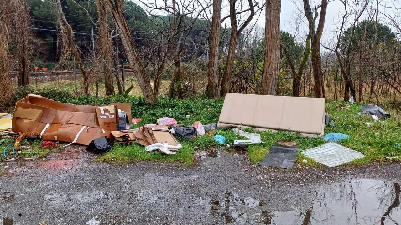 L’Ufficio ambiente del Comune ha segnalato ad Anas (competente in quei tratti) la presenza di ingombranti. Ma da fine novembre la situazione è molto peggiorata: si sono aggiunti altri arredi e sacchi neri. L’Ufficio ambiente del Comune ha segnalato ad Anas (competente in quei tratti) la presenza di ingombranti. Ma da fine novembre la situazione è molto peggiorata: si sono aggiunti altri arredi e sacchi neri.