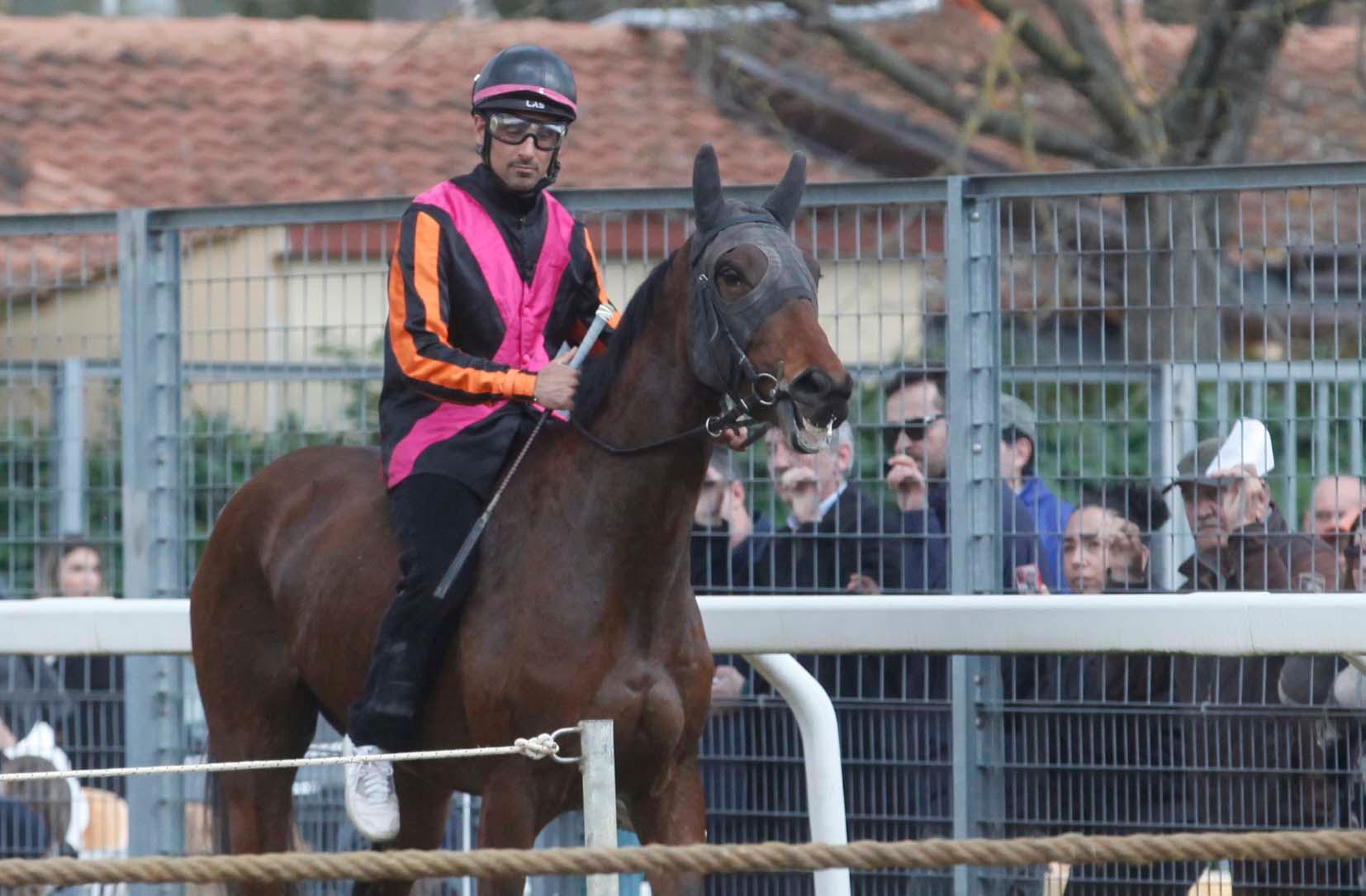 Andrea Coghe: «Neppure al Palio una parata come quella per Rispoli. Ma ha fatto lo stesso il capolavoro» Andrea Coghe: «Neppure al Palio una parata come quella per Rispoli. Ma ha fatto lo stesso il capolavoro»