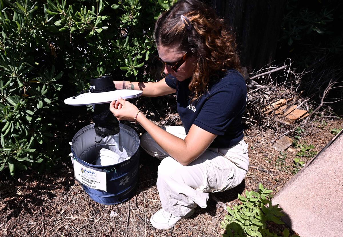 West Nile virus, aumentano i casi in Toscana. Tre ricoverati, condizioni stabili West Nile virus, aumentano i casi in Toscana. Tre ricoverati, condizioni stabili