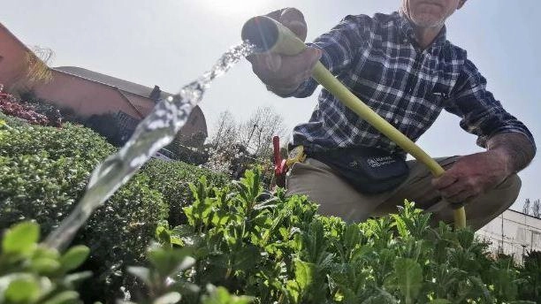Nel primo trimestre di quest’anno l’export è calato del 5 per cento Nel primo trimestre di quest’anno l’export è calato del 5 per cento