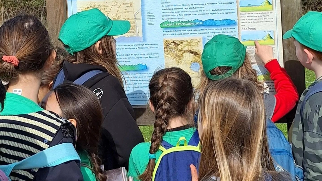 Sono previste modifiche al sistema idraulico per migliorarne l’efficacia e mitigare il rischio. Secondo gli studi, pericoli legati a onde di piena per piogge intense sul bacino del Versilia. Sono previste modifiche al sistema idraulico per migliorarne l’efficacia e mitigare il rischio. Secondo gli studi, pericoli legati a onde di piena per piogge intense sul bacino del Versilia.