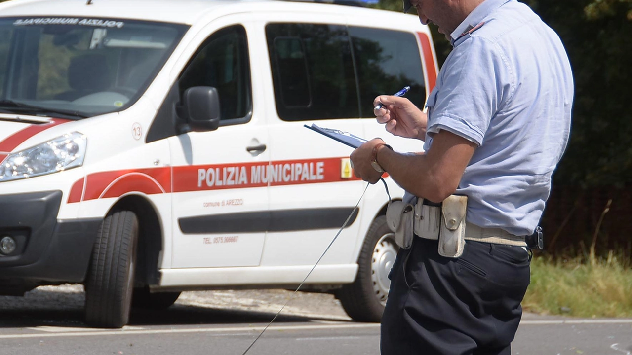 Animali selvatici causano incidenti ad Arezzo: due feriti in due diversi episodi. Cinghiali e daini in strada, emergenza per sicurezza pubblica e ambientale. Animali selvatici causano incidenti ad Arezzo: due feriti in due diversi episodi. Cinghiali e daini in strada, emergenza per sicurezza pubblica e ambientale.