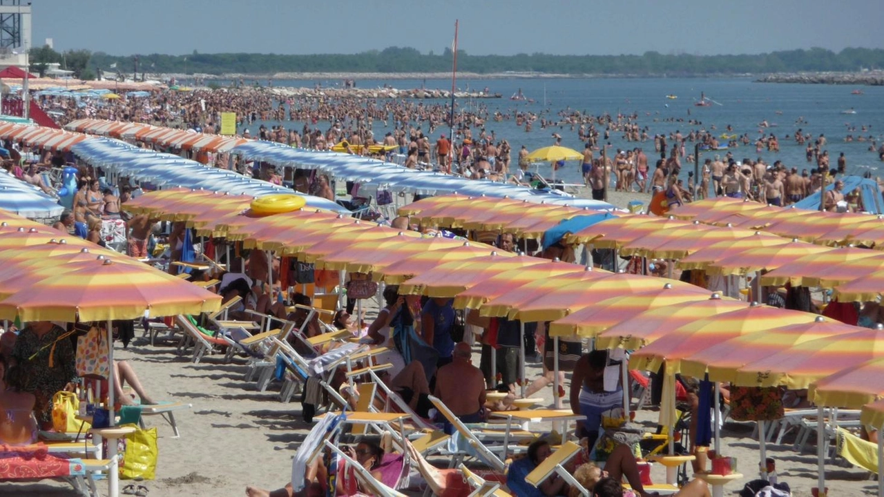 'Impatti pesanti sulla biodiversità del mare' 'Impatti pesanti sulla biodiversità del mare'