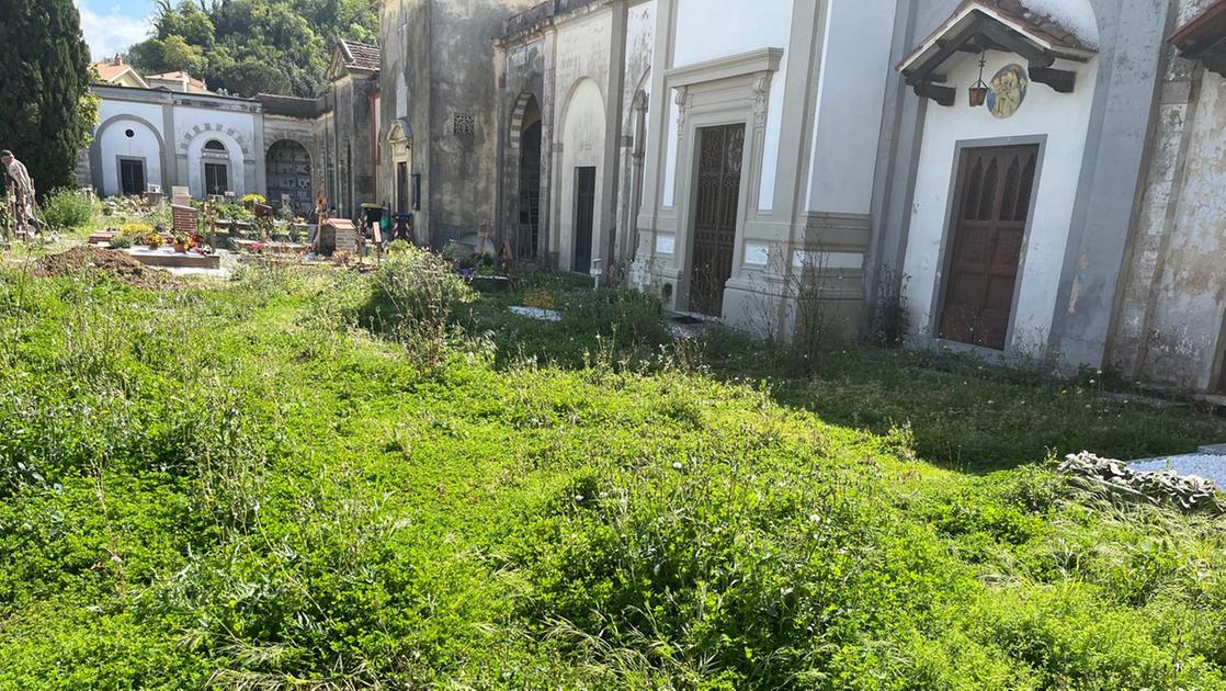 https://www.lanazione.it/image-service/view/acePublic/alias/contentid/ODI5OGQ1OTktYzg3YS00/0/un-prato-al-cimitero-di-montecatini-alto.jpeg?f=16:9&w=1200&h=630