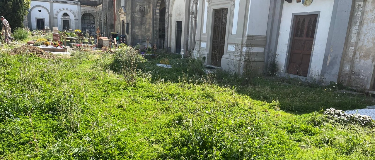 Degrado al camposanto: “Al cimitero di Montecatini Alto erbacce dovunque e incuria”