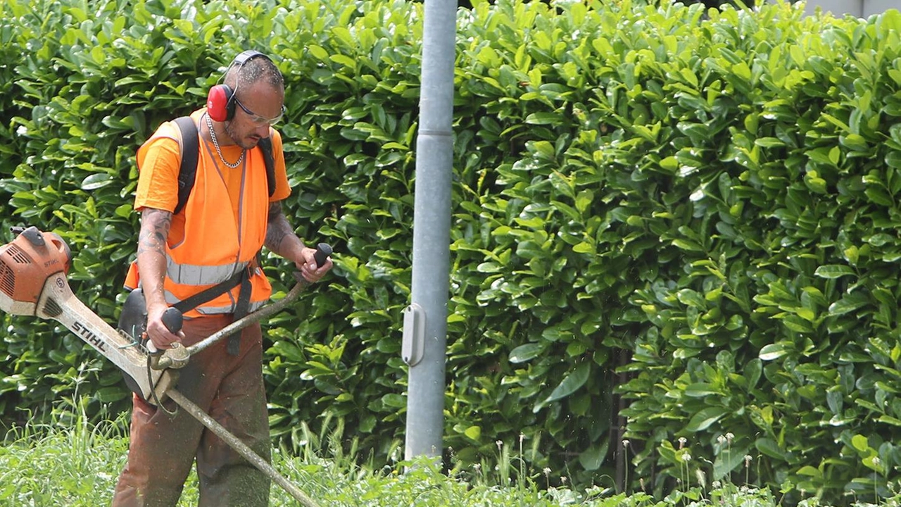 Proposte di lavoro pubblicate al Centro per l'impiego di La Spezia: autisti camion, impiegato, operai agricoli e operaio ecologico cercati per diverse aziende. Info e candidature sul sito della Regione Liguria. Proposte di lavoro pubblicate al Centro per l'impiego di La Spezia: autisti camion, impiegato, operai agricoli e operaio ecologico cercati per diverse aziende. Info e candidature sul sito della Regione Liguria.
