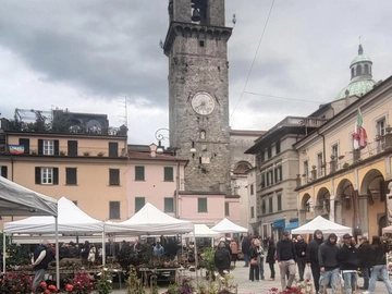 immagine articolo