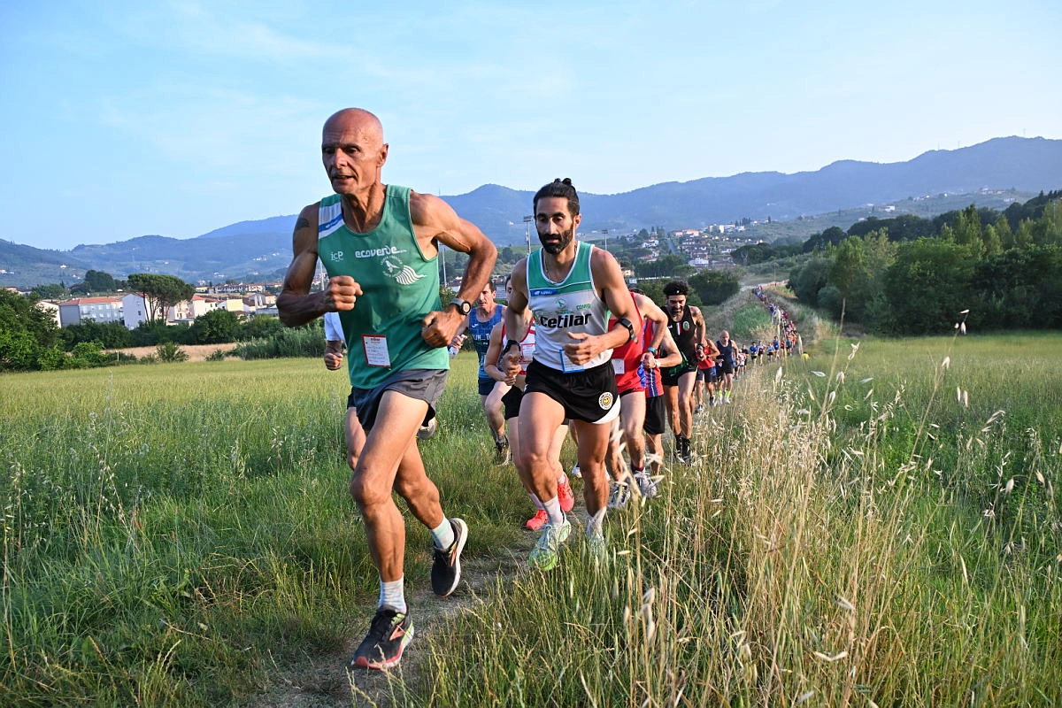 immagine di sfondo 14