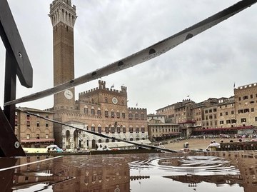 immagine articolo