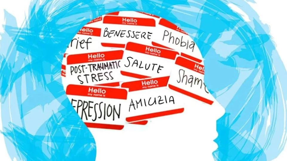 Il seminario sulla salute mentale Il seminario sulla salute mentale