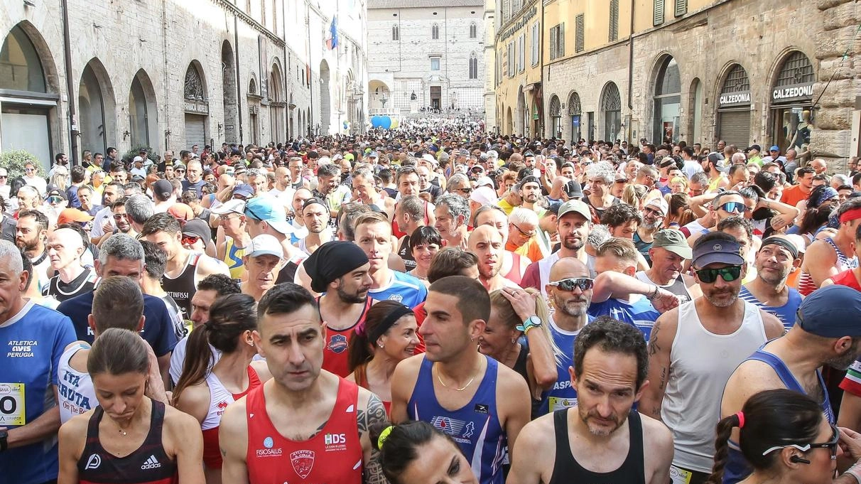 Grande successo per la 44ª Grifonissima con oltre 3mila partecipanti. Vittorie per Mokhchane e Tamburi nella gara competitiva. Grande successo per la 44ª Grifonissima con oltre 3mila partecipanti. Vittorie per Mokhchane e Tamburi nella gara competitiva.