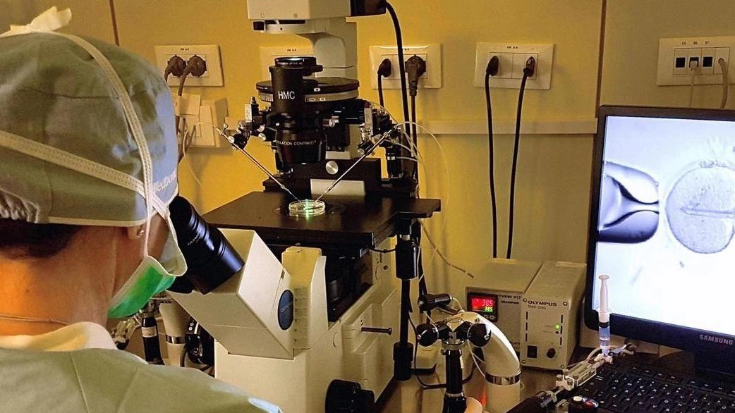 Un centro in cui è l’approccio multiprofessionale a offrire una considerazione totale della salute dei genitori Un centro in cui è l’approccio multiprofessionale a offrire una considerazione totale della salute dei genitori