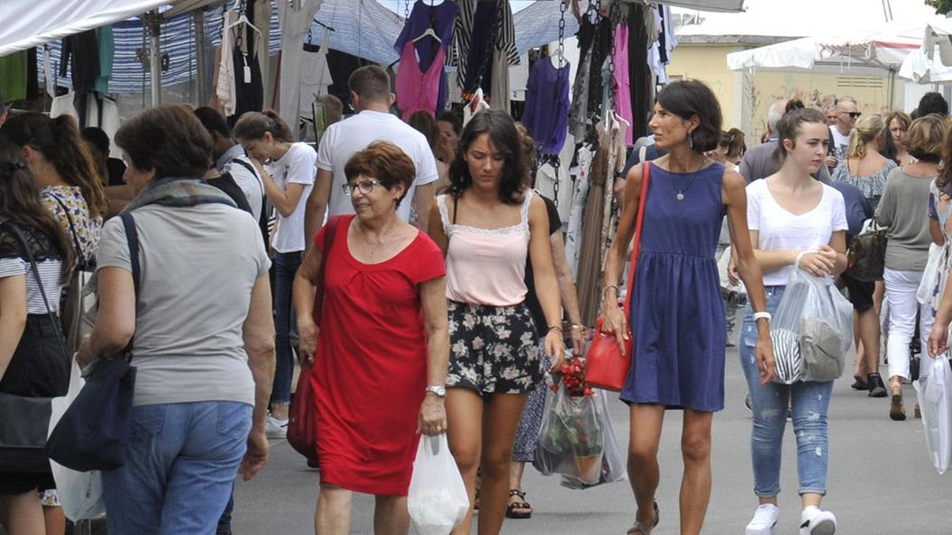 Gli operatori di piazzale Don Baroni si sono dati un anno di tempo a partire da fine 2024 per valutare le migliorie concordate con il Comune. Ma sullo sfondo resta la speranza di poter rientrare dentro le Mura. Gli operatori di piazzale Don Baroni si sono dati un anno di tempo a partire da fine 2024 per valutare le migliorie concordate con il Comune. Ma sullo sfondo resta la speranza di poter rientrare dentro le Mura.