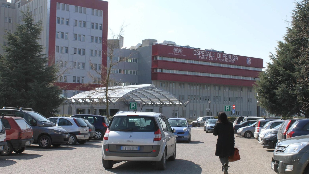 L’Usl 1 rassicura: "Trasmissione tramite contatto aereo stretto e germe labile al di fuori dell’organismo umano". Conclusa l’indagine epidemiologica: ecco come fare profilassi.