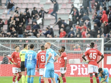 immagine articolo