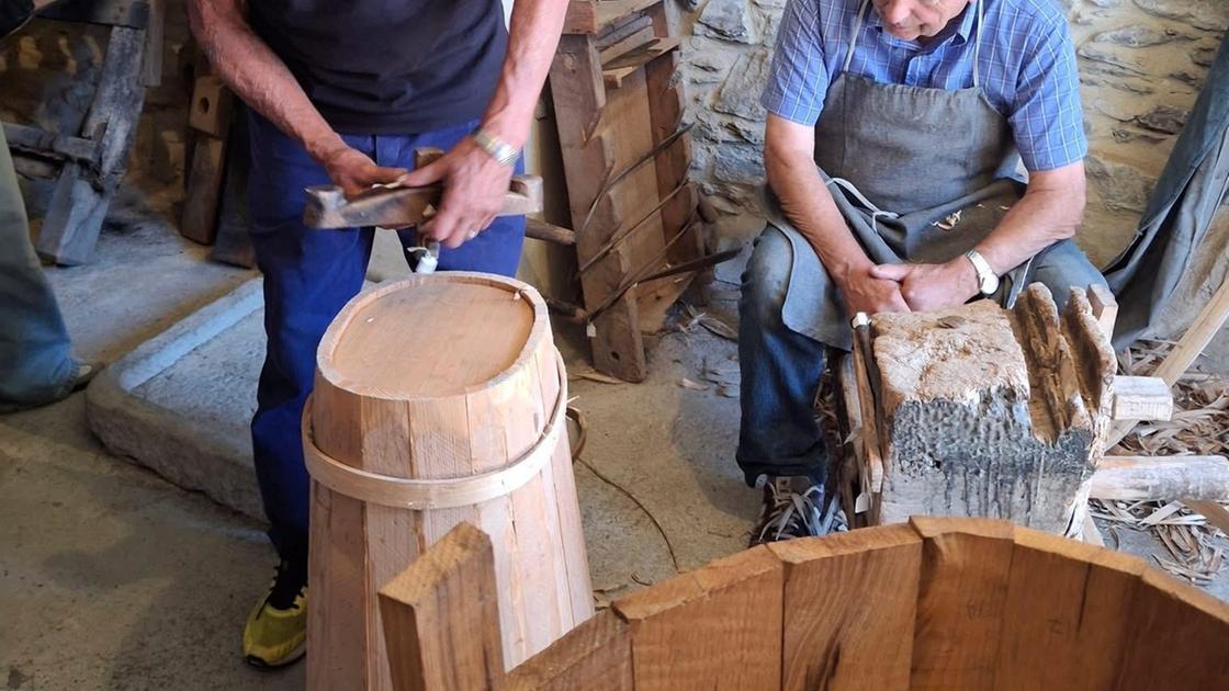 Scuola d’estate con i bigonai di Moggiona Scuola d’estate con i bigonai di Moggiona