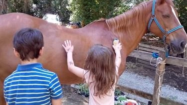 Due giorni di attività per bambini alla Scuderia Pan. Due giorni di attività per bambini alla Scuderia Pan.