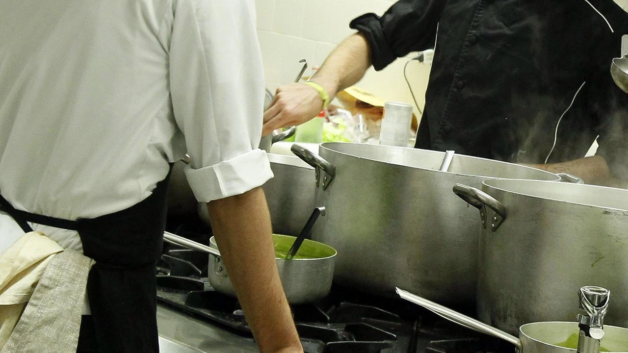 Le professioni per le quali è stata attivata la formazione sono tante, tra cui cuochi e pasticceri Le professioni per le quali è stata attivata la formazione sono tante, tra cui cuochi e pasticceri