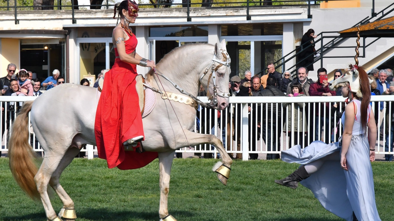 Premio Pisa Day: spettacolo, tradizione e divertimento all’Ippodromo di San Rossore