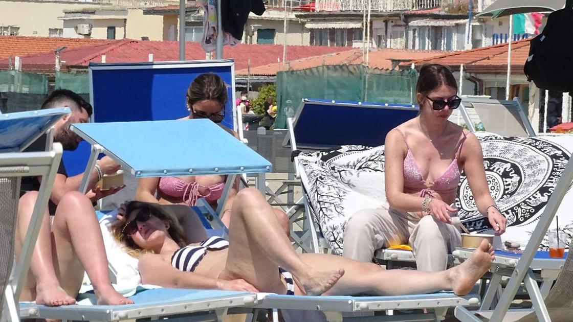 "Presenze, il problema sono i prezzi" "Presenze, il problema sono i prezzi"