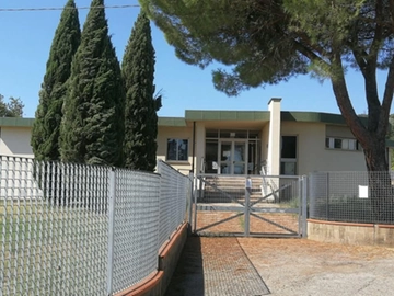 immagine articolo