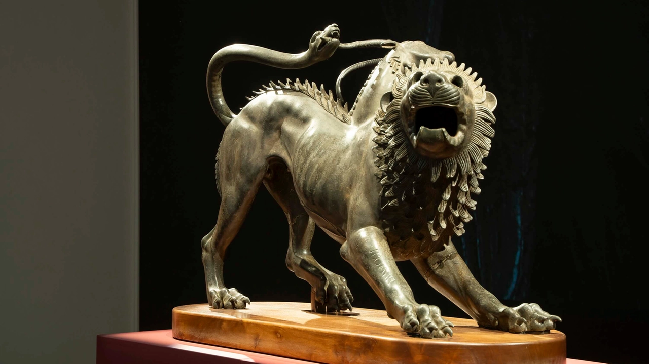 chimera chimera