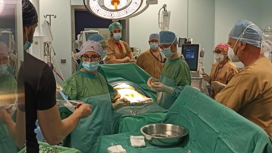 Complesso processo gestito dal Blocco Terapia intensiva Complesso processo gestito dal Blocco Terapia intensiva