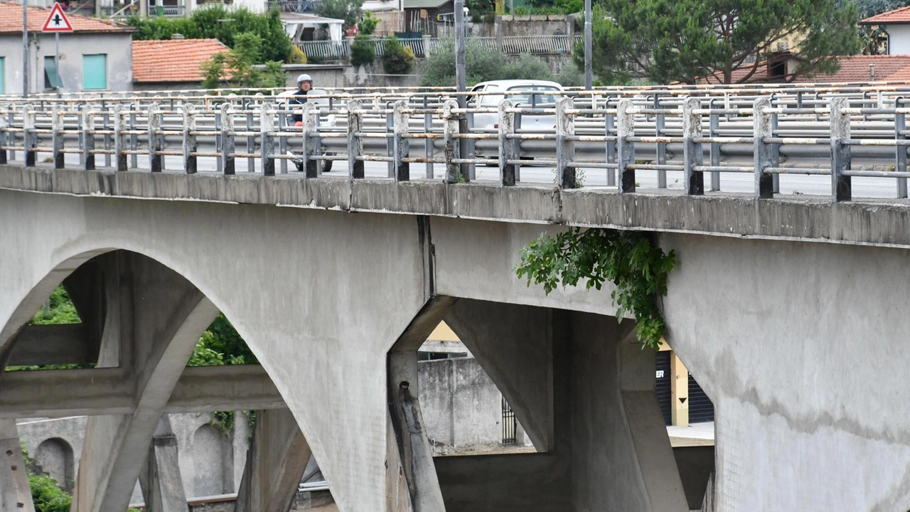 Il ponte di via Trieste a Massa sarà intitolato a Sandro Pertini, ex presidente della Repubblica. Dopo anni di attesa, la giunta ha firmato la delibera per la modifica toponomastica, che include il nome originale e quello nuovo. La decisione segue una campagna avviata nel 2019 dall'Arci '31 Settembre' e arriva dopo il parere favorevole della commissione toponomastica nel 2022. Il ponte di via Trieste a Massa sarà intitolato a Sandro Pertini, ex presidente della Repubblica. Dopo anni di attesa, la giunta ha firmato la delibera per la modifica toponomastica, che include il nome originale e quello nuovo. La decisione segue una campagna avviata nel 2019 dall'Arci '31 Settembre' e arriva dopo il parere favorevole della commissione toponomastica nel 2022.