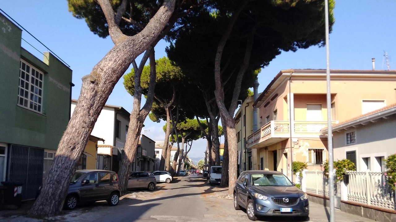 A settembre i lavori per riqualificare il tratto tra via Menini e via dei Pescatori A settembre i lavori per riqualificare il tratto tra via Menini e via dei Pescatori
