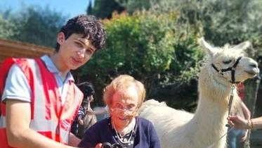 Una passeggiata con gli alpaca nelle campagne di Scandicci. Un modo per socializzare e scoprire la magia di questo animale...