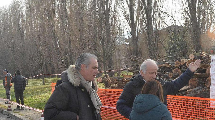 Alberi tagliati sul Castro. Il cantiere della discordia riparte subito dopo l’incontro da lanazione.it Alberi tagliati sul Castro. Il cantiere della discordia riparte subito dopo l’incontro