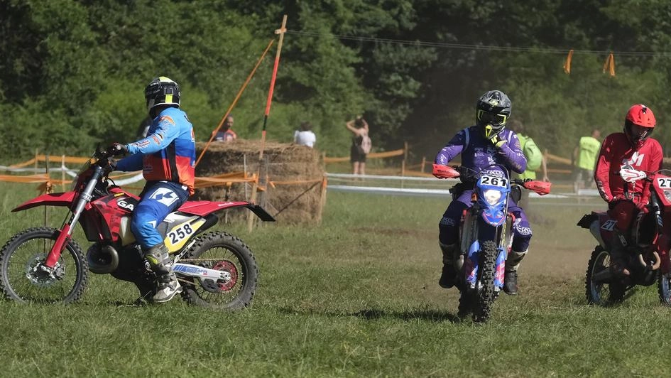 Nel fine settimana la suggestiva Selva di Filetto si è riempita di appassionati per la conclusione del Campionato Toscano di... Nel fine settimana la suggestiva Selva di Filetto si è riempita di appassionati per la conclusione del Campionato Toscano di...