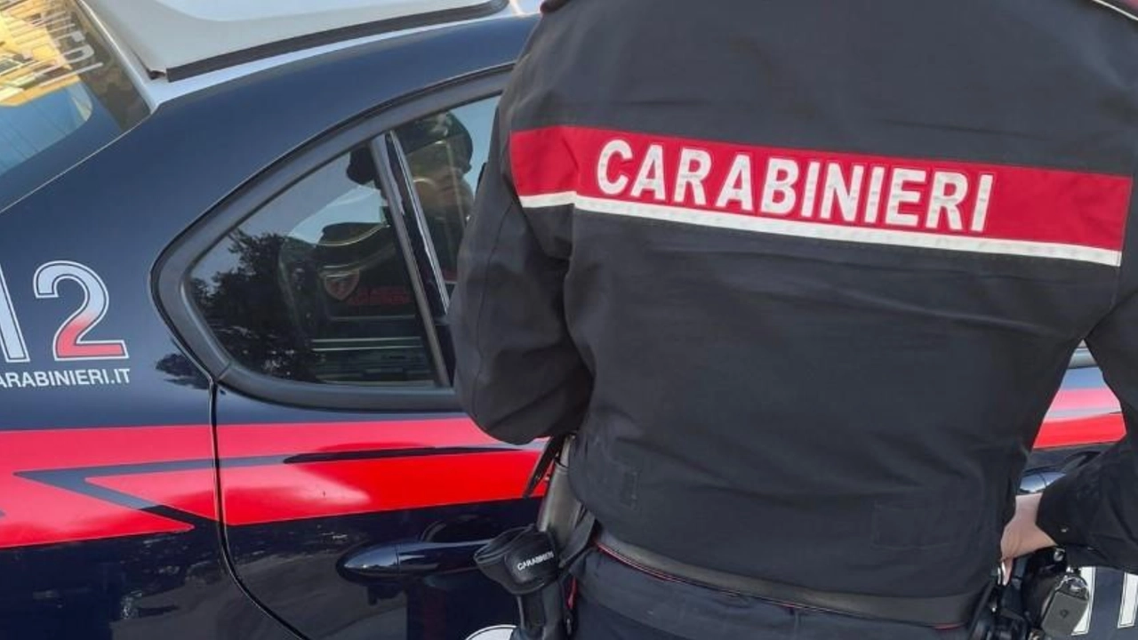 L'operazione dei carabinieri