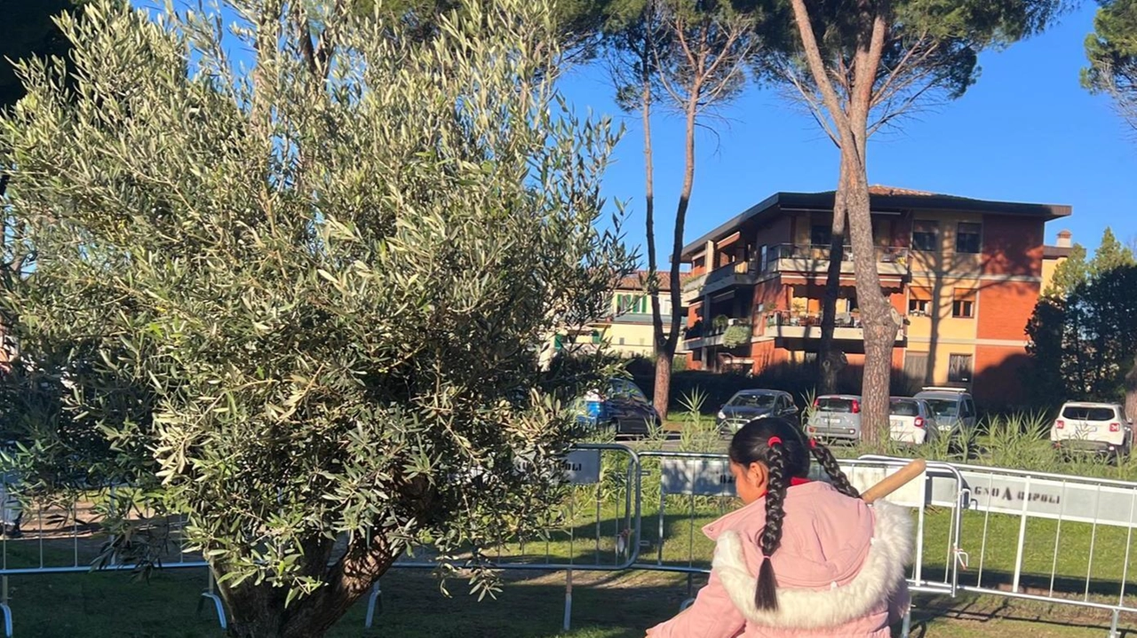 La posa del primo albero nel parco urbano che sorgerà a Bagno a Ripoli: si tratta di un intervento da oltre 3 milioni di euro di cui più di 1,8 di fondi Pnrr La posa del primo albero nel parco urbano che sorgerà a Bagno a Ripoli: si tratta di un intervento da oltre 3 milioni di euro di cui più di 1,8 di fondi Pnrr