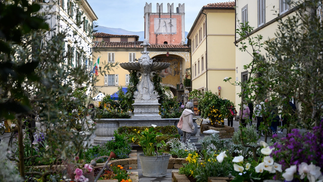 E' la via dell'orto a Camaiore (foto Stefano Dalle Luche)
