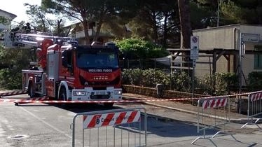 Paura ieri mattina intorno alle 7 per un pino che, quasi sicuramente per il maltempo delle ultime ore, è caduto... Paura ieri mattina intorno alle 7 per un pino che, quasi sicuramente per il maltempo delle ultime ore, è caduto...