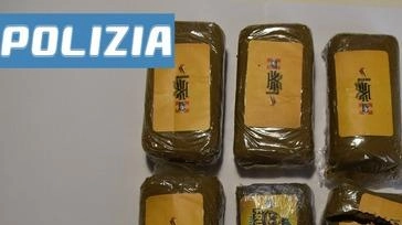 La Polizia di Stato di Lucca ha arrestato un cittadino marocchino di 26 anni per spaccio, dopo un inseguimento concluso... La Polizia di Stato di Lucca ha arrestato un cittadino marocchino di 26 anni per spaccio, dopo un inseguimento concluso...