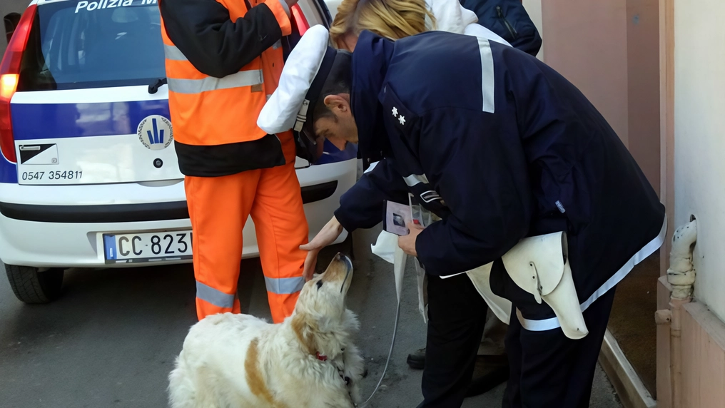 Polizia municipale durante un controllo in strada (foto d’archivio)