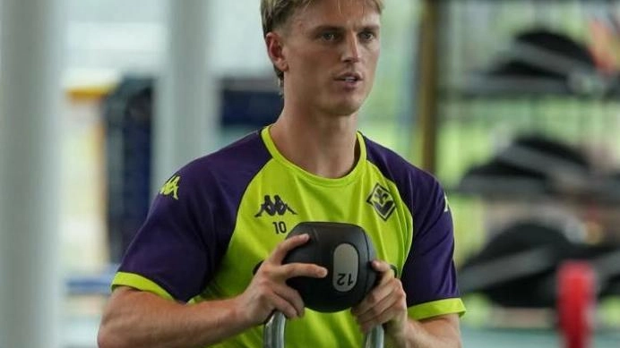 Lavoro in palestra per Gudmudsson che cerca di recuperare