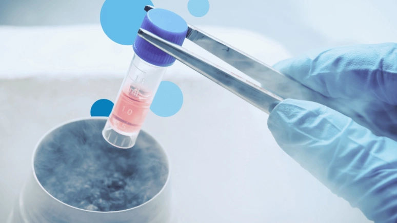 Una ricerca sulle cellule staminali (Foto di repertorio)
