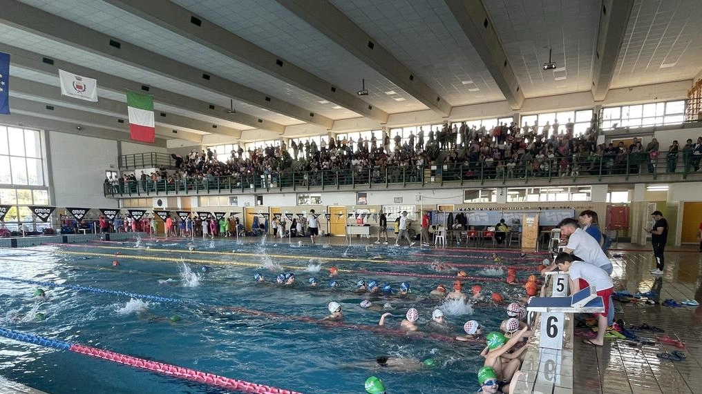 La piscina comunale ’Frati’ di Massarosa, nel capoluogo La piscina comunale ’Frati’ di Massarosa, nel capoluogo