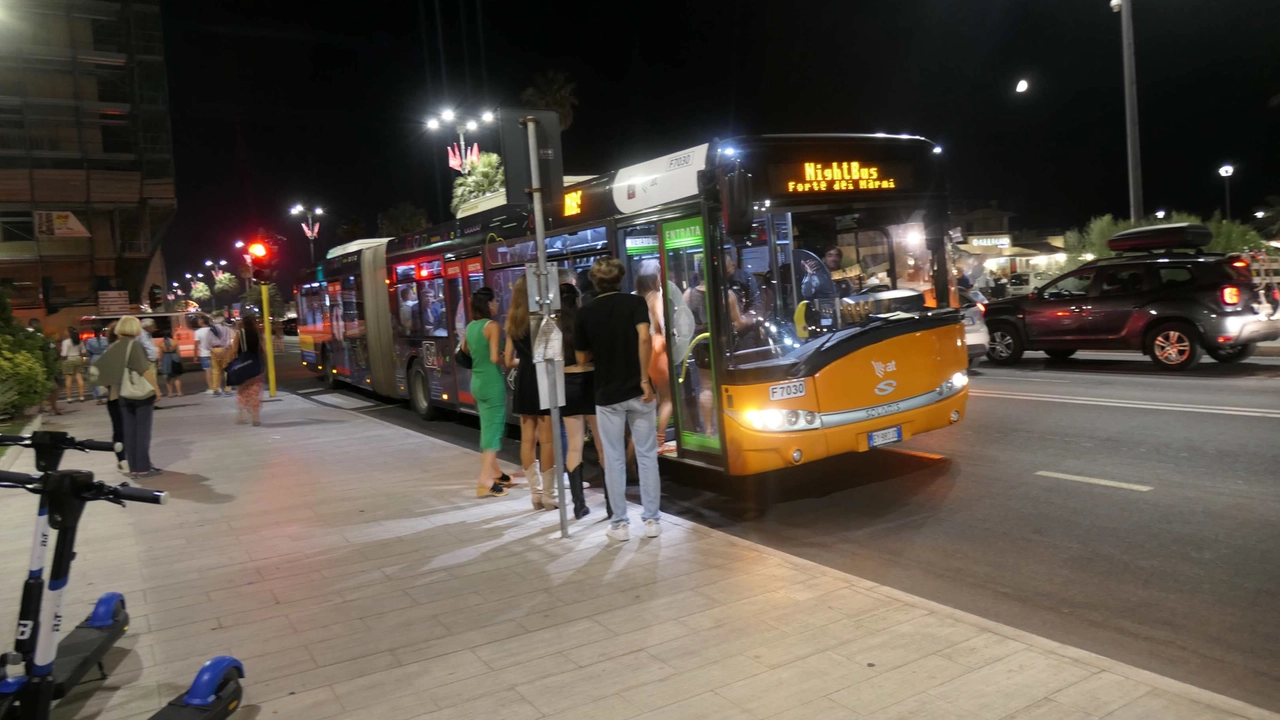 Bus notturni in Versilia Bus notturni in Versilia